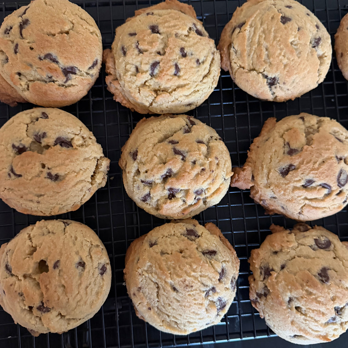 Nine freshly baked chocolate chip cookies cooling on a black wire rack over a dark surface.
