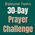 30 Day Prayer Challenge