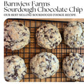Sourdough Chocolate Chip Cookie Recipe