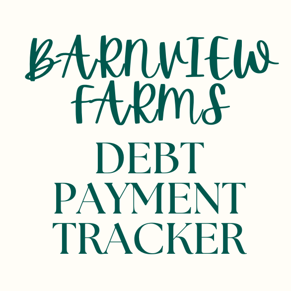 Debt Payment Tracker